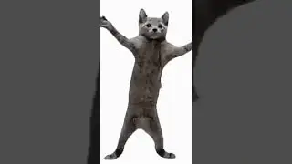 шна шни шнапи мем