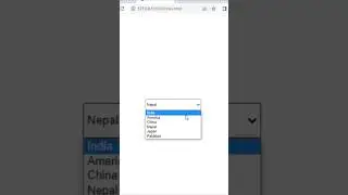 Select Tag | Select Drop Down Menu Design Using HTML CSS 