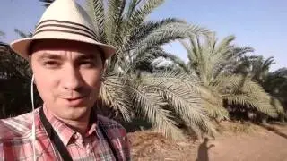 Поездка в Израиль, Блог #4