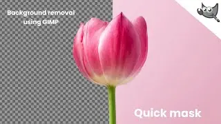 Remove Background Picture in GIMP with Quick mask - 3 | 
