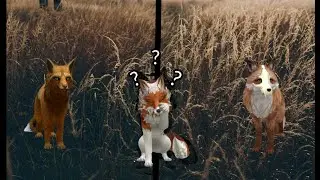 • СЕРИАЛ Wild Craft 