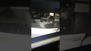 Секс спайс накурился