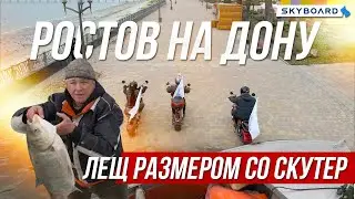 SkyBoard in Rostov-on-Don! Caught a fish the size of City Coco! Electric scooters skateboard