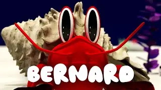 Bernard - 3D Animation | Devoir UQAT