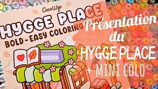 🖍️Présentation du HYGGE PLACE de Coco Wyo + mini colo🐥