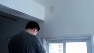 Пчела убийца!!! (Не для слабо-нервных )   Killer Bees