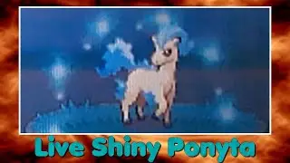 [Phase 1][Live] Shiny Ponyta after 2016 RE!
