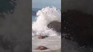 ocean sounds |NCM| #shortsvideo