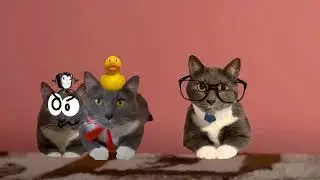 Заставка котинет! Канал НТВ