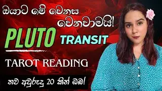 ඔබගේ ඊලග වසර 20 මොන වගේද? 🌻 අනිවාර්යයෙන් බලන්න ✨️❤️ PLUTO TRANSIT TAROT CARD READING SINHALA