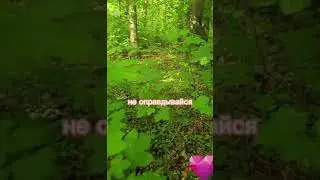 Если тебя не любят? не выпрашивай любовь...