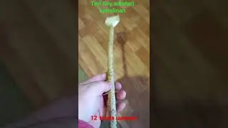 12 таспа шахмат