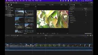 Using Final Cut Pro For the First Time
