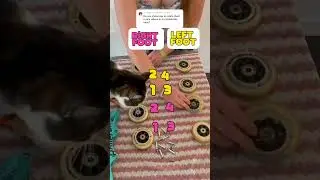 This is the rotation pattern for how to rotate wheels on 4 wheel inline skates! 💞