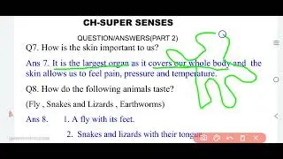 our senses class 5th chapter EVS looking around||class 5th full chapter revision EVS our senses