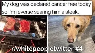 r/whitepeopletwitter Best Posts #4