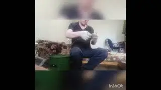 Чистка прута ивы от коры