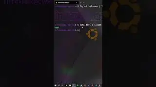 Customize your Linux Terminal 🚀✨