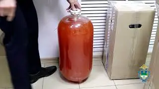 В Коми провели физико-химическую экспертизу изъятого пивного напитка "Мистер Сидр"