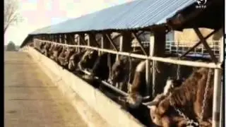 Иш Билги ЭЛТР 06 02 14 40choro