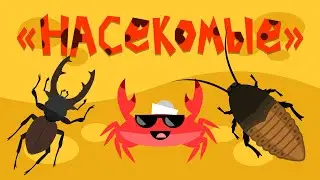 Капитан Краб: Насекомые
