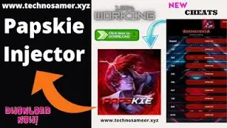 Papskie Injector Download | Unlock all Skins | Malik Muna Academy