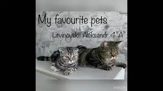 My Favorite Pet. 🐈🐱Рассказ Саши Литвиновского, ученика 4А класса.