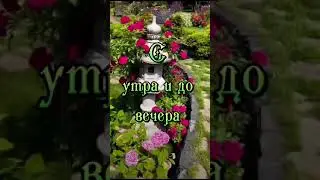 Доброе утро! Красивоепожелание