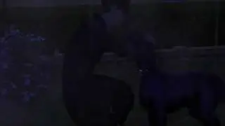 Hurt