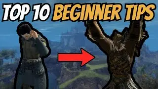 Top 10 Beginner Tips for Guild Wars 2 in 2026