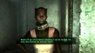 Use Sex Slaves as a Distraction in Fallout 3