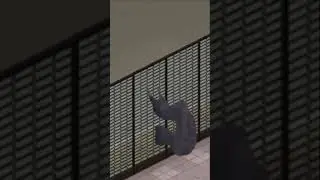 Project Zomboid 100 Days Challenge 
