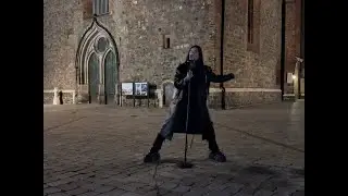 20TOKENS - BAD ROMANCE alt metal cover