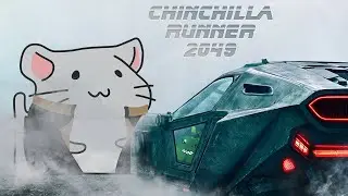 Chinchilla Runner 2049