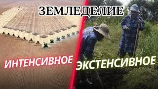 Интенсивное и Экстенсивное земледелие