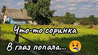 Обзор дома в деревне Кухты, Минская область, Беларусь.Продается за 4500$ торг