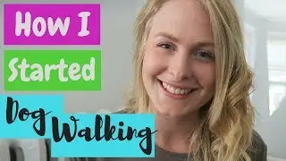 My DOG WALKING Story! | How I Became a Dog Walker