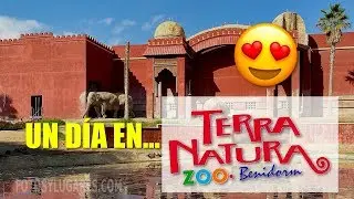 Vídeo de Terra Natura Benidorm, Zoo en la Costa Blanca 🦁 [2020]