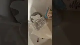 барни не сдержался