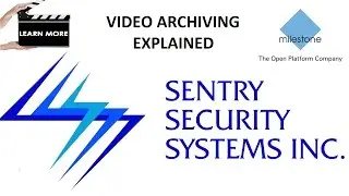 Milestone - What is video archiving anyways?