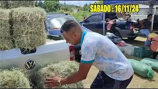 RAÇÃO NA FEIRA DE CAVALO E ANIMAIS DE ABREU E LIMA-PE SÁBADO: 16.11.24