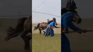 The horse 🐎 is unstoppable , horse know you can't stop him