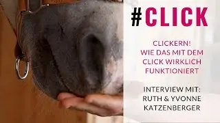 Clickern lernen! Schritt für Schritt