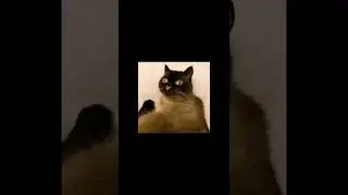 Здравствуйте, звонок из банка 