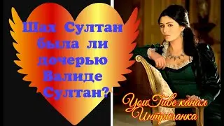 Шах Султан была ли дочерью Валиде? Великолепный век (Интриганка)