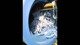 Plastic Machining - Blue Nylon Machining by PlasTex Precision Manufacturing