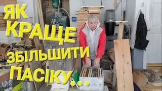 How not to lose honey in a year! 