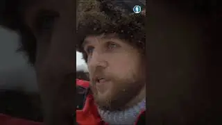 Не заводите эту собаку в квартире