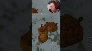 The long dark - Где искать желуди? 