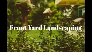Front Yard Landscaping